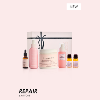 The Restore Kit - Dryness & Breakage